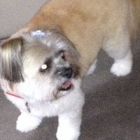 Michael (@michael04121884) 's Twitter Profile