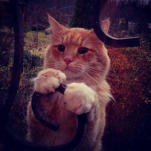 artikmas's profile picture. 