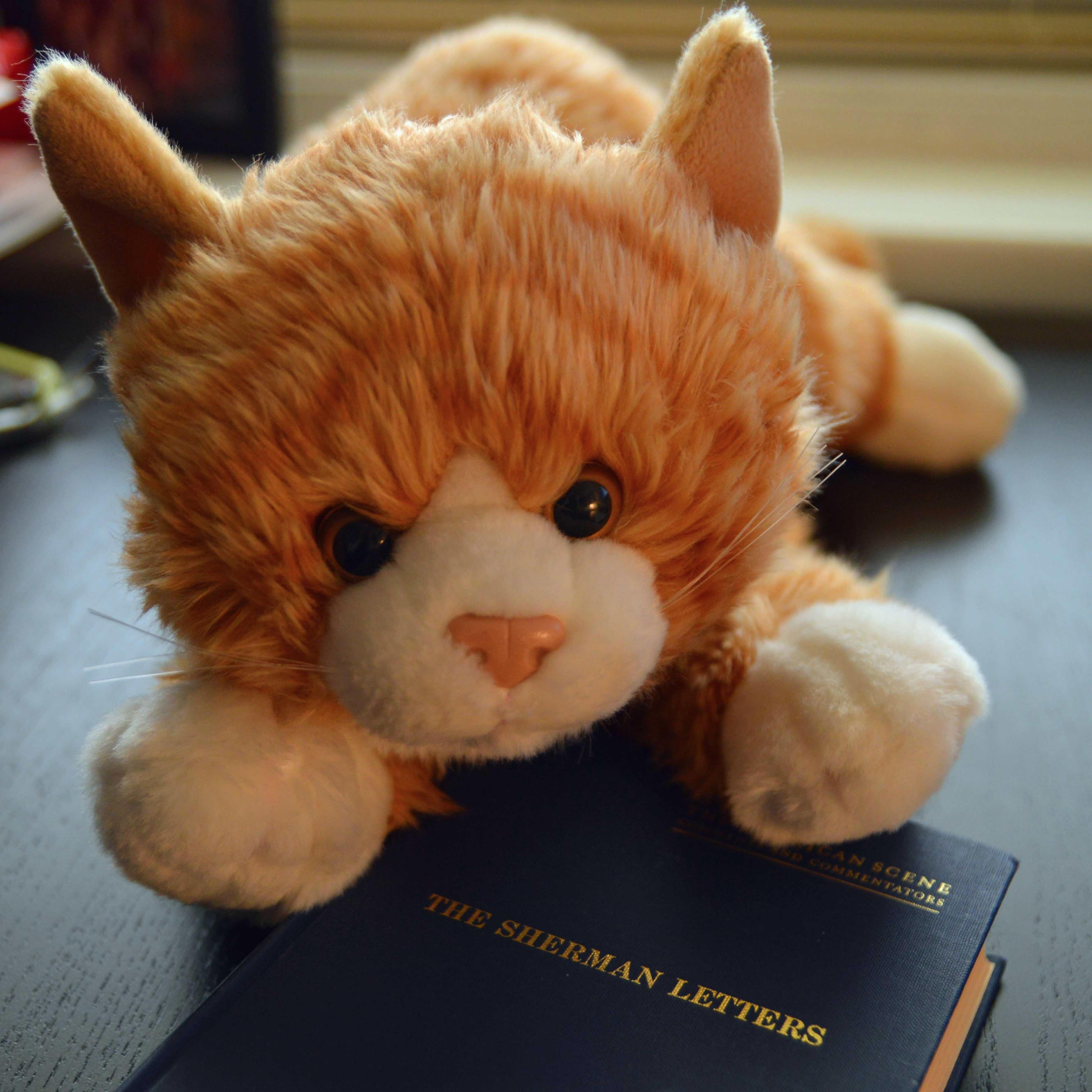 A stuffed cat named Sherman Kitty, after U.S. General William Tecumseh Sherman. With the help of my owner I relive his life & adventures. Come along with me!