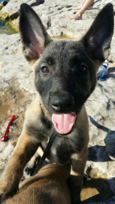 JdoubleERT's profile picture. We're on the same boat, brother 
And If you shake one end you gonna rock the other 
It's the same boat, brother