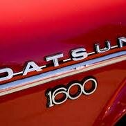 petsoskonos's profile picture. arkouda me gyfto poy paizei mousiki kai tragoudaei