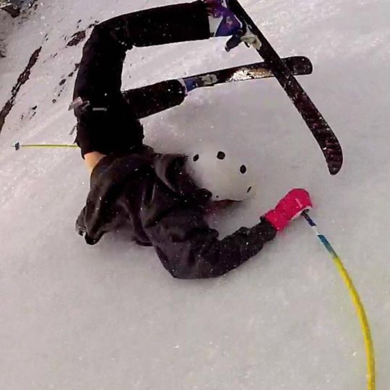 GoProFail's profile picture. 