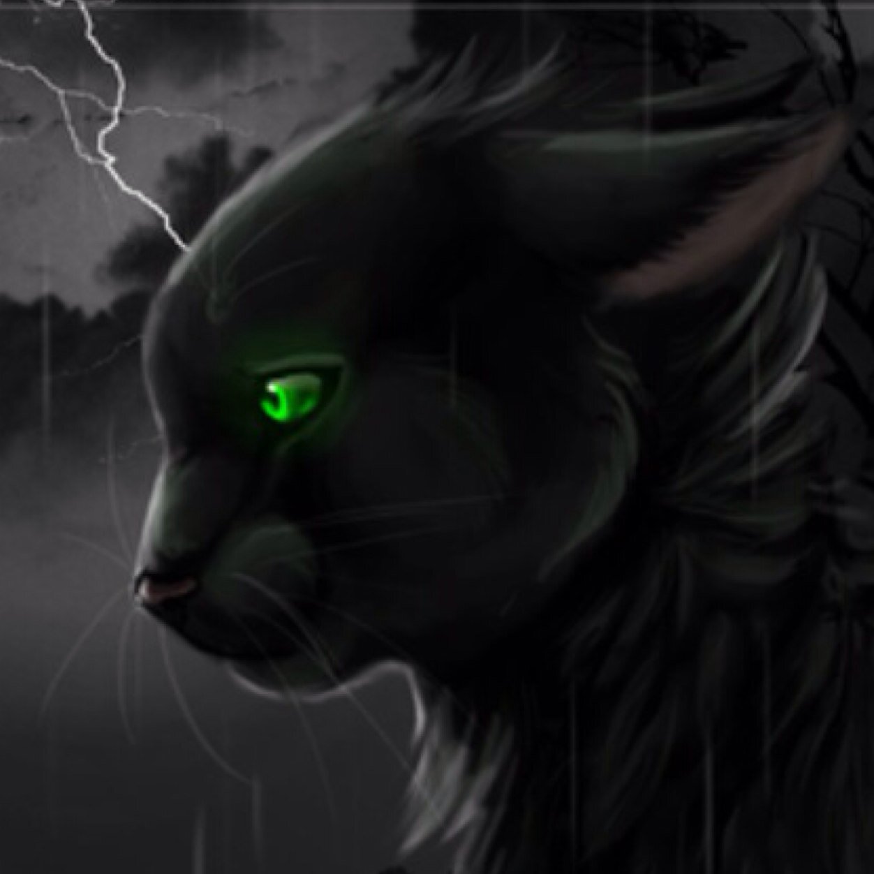 steamalone's profile picture. She-cat, jet black, green eyes, clan:none, mate:none, farther: Lionfur, mother Lightburt, sister Echomist and brother: Tigerstar.. #loner wants a mate and clan#