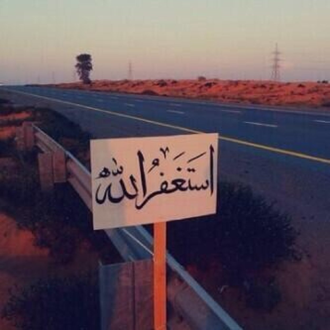 amoool35620174's profile picture. يارب وماخاب من قال يارب