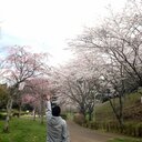 大貴 (@0518_h) Twitter