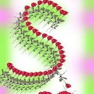 Follow @AyEsHa_JEE2