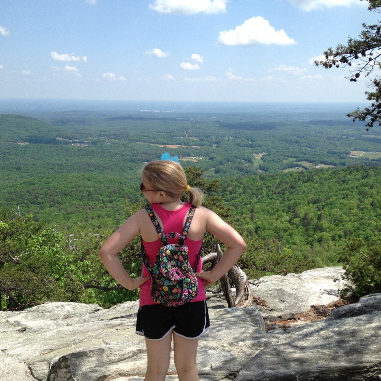 MandajNC's profile picture. 