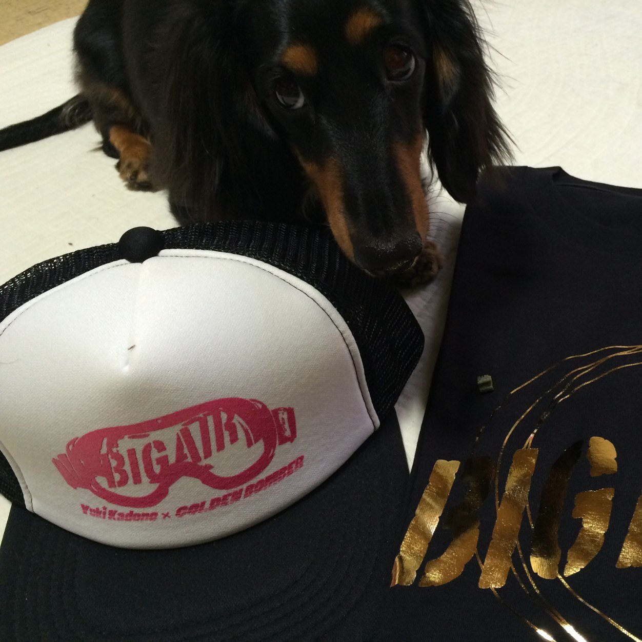 snowboard スノーボード 金爆 skateboard sk8 BMW Msports Dachshund ミニチュアダックスフント