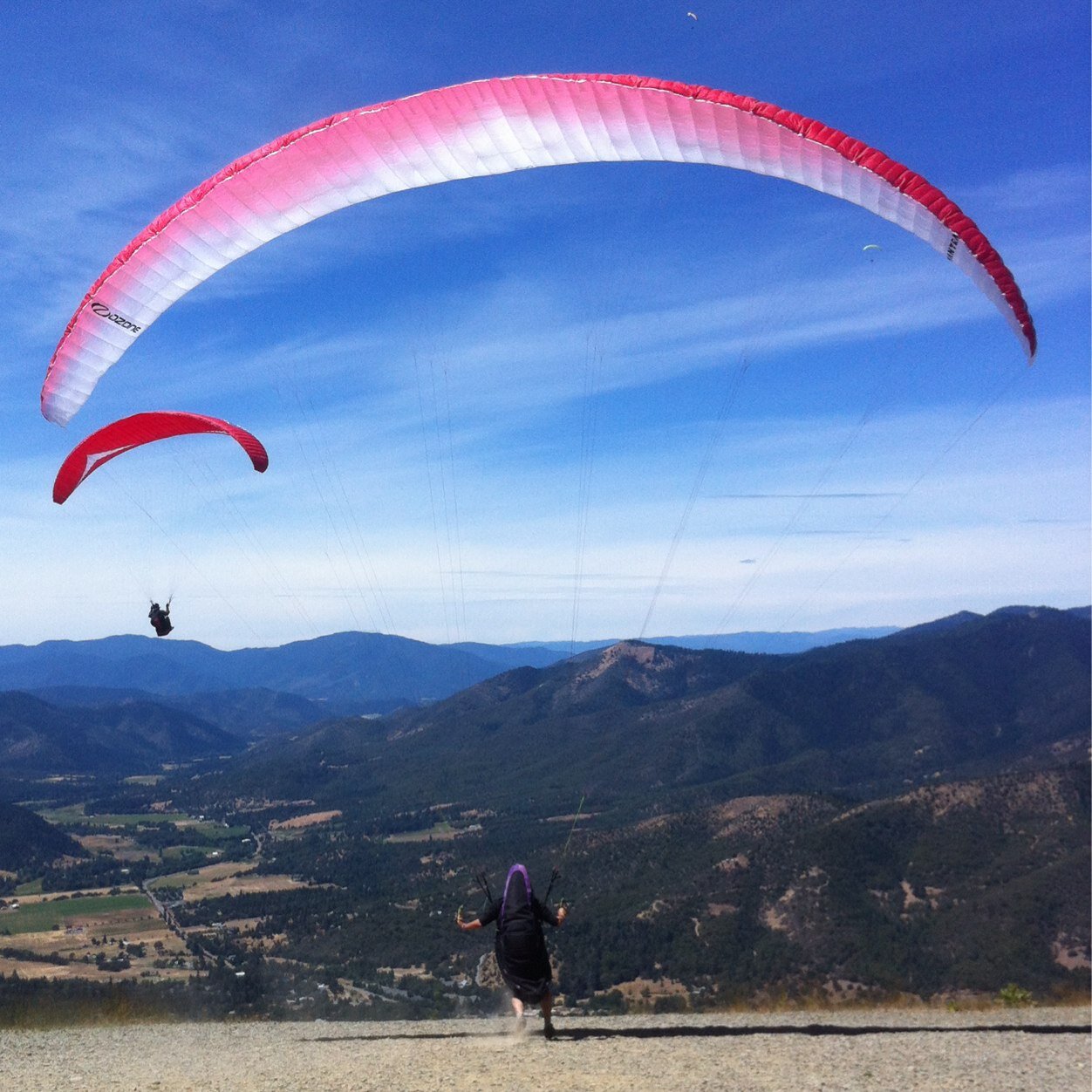 krillex13's profile picture. 