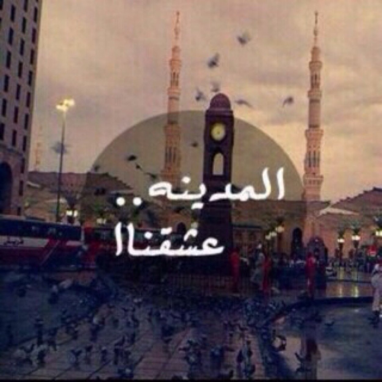 اجتماعي - اعمال حرة
