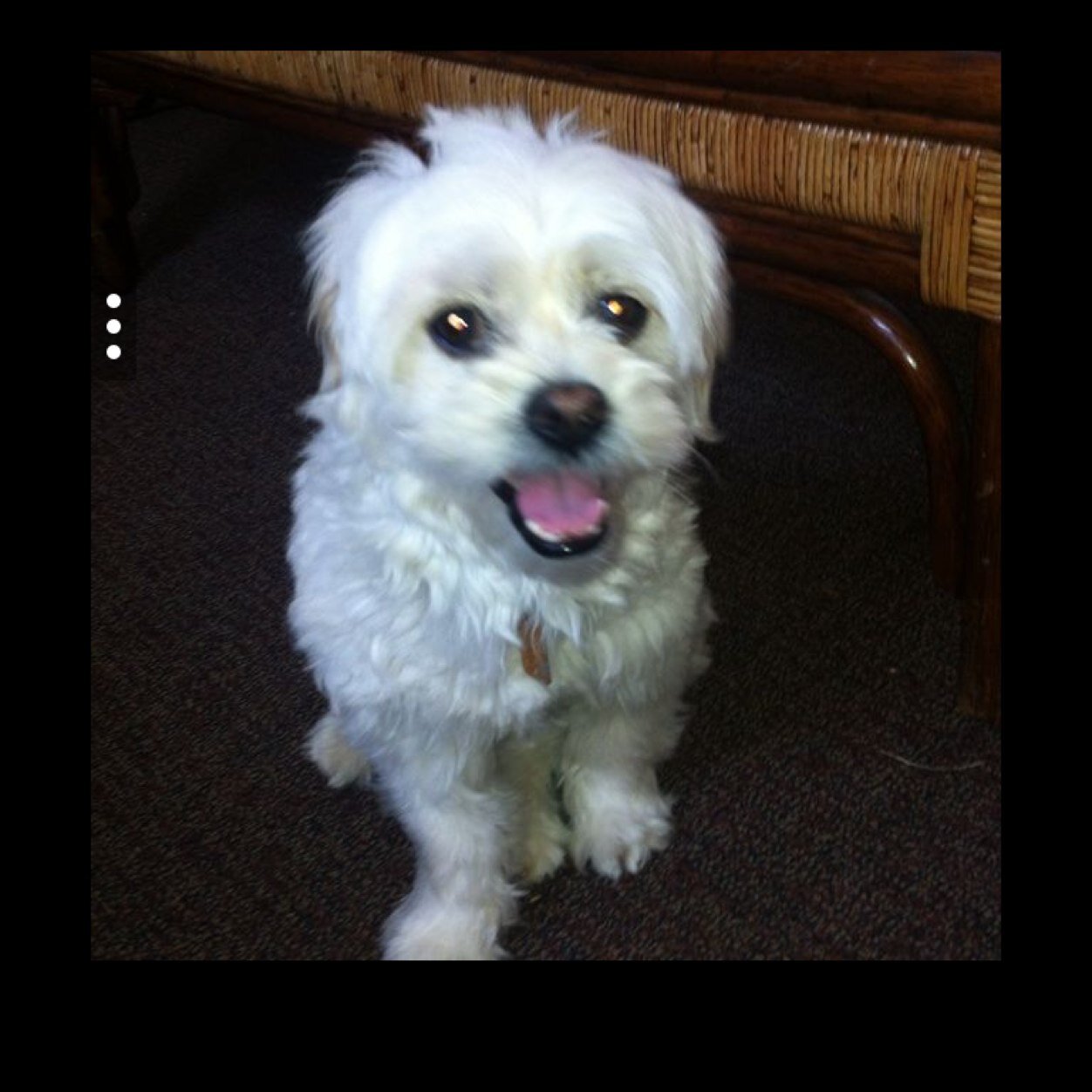 Daisy240Daisy's profile picture. 