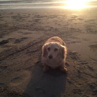 たむら(NO.18 ほったらかし温泉) (@norinori1969) 's Twitter Profile Photo たむら(NO.18 ほったらかし温泉) (@norinori1969) 's Twitter Profile Photo