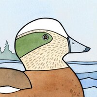 david scheirer (@dswatercolor) 's Twitter Profile