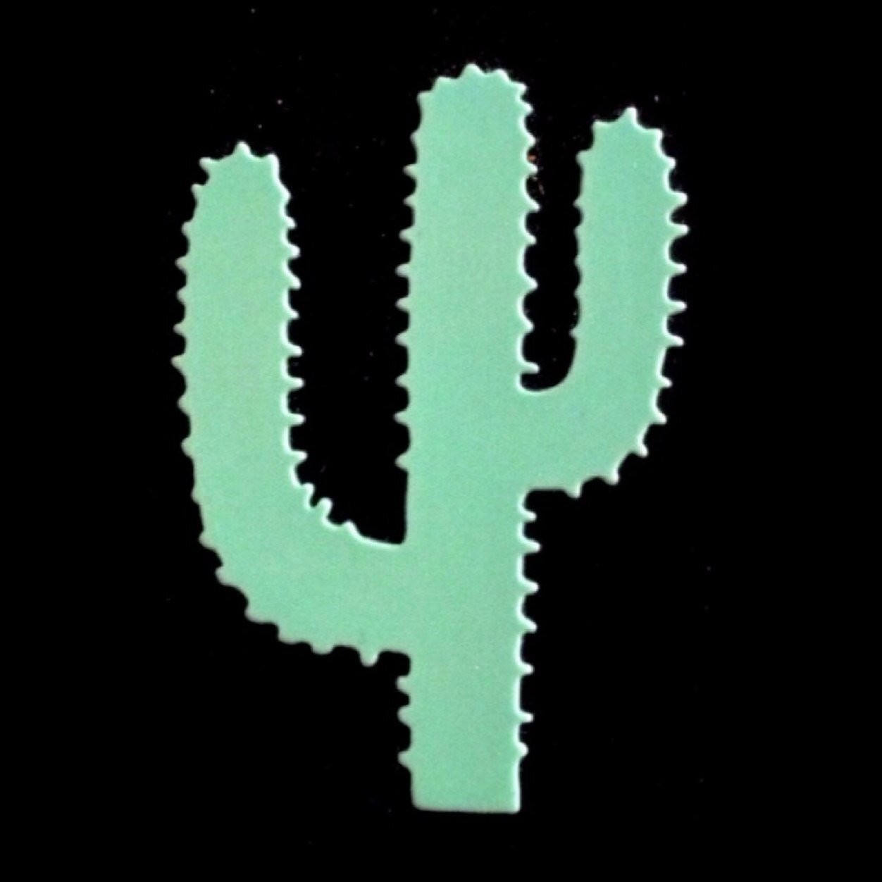 PhxFinds's profile picture. 