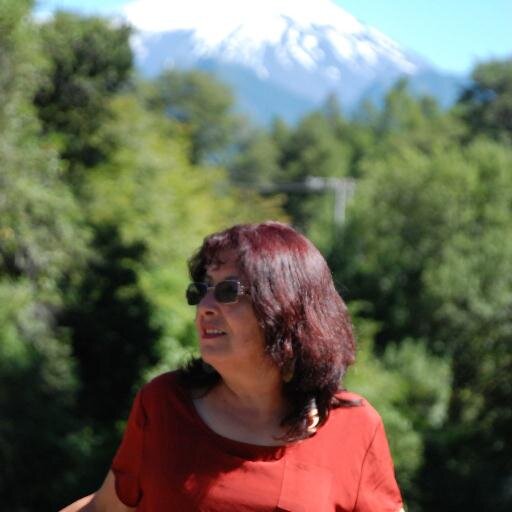 marijoart's profile picture. Docente de un colegio de melipilla , realizo talleres de artes visuales ,adoro el olor de los oleos ,trementina etc ,no me gusta la faràndula ,