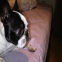 Tracey Beach - @beachtro1634 - Twitter