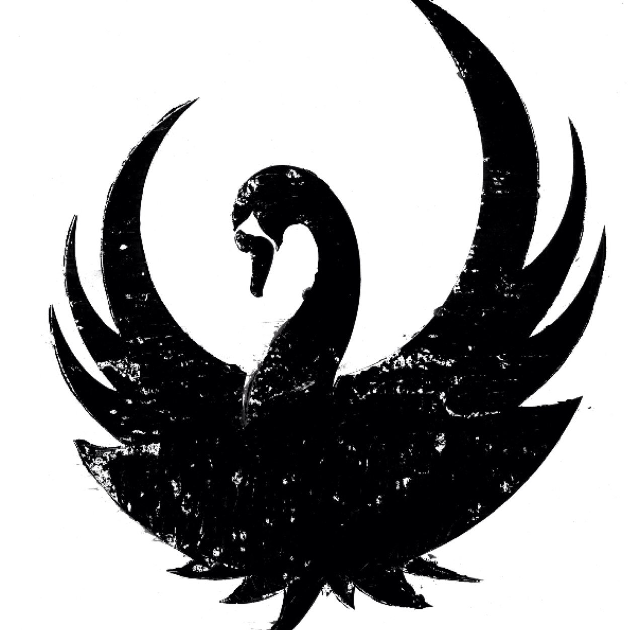 Follow new account @oZer0h