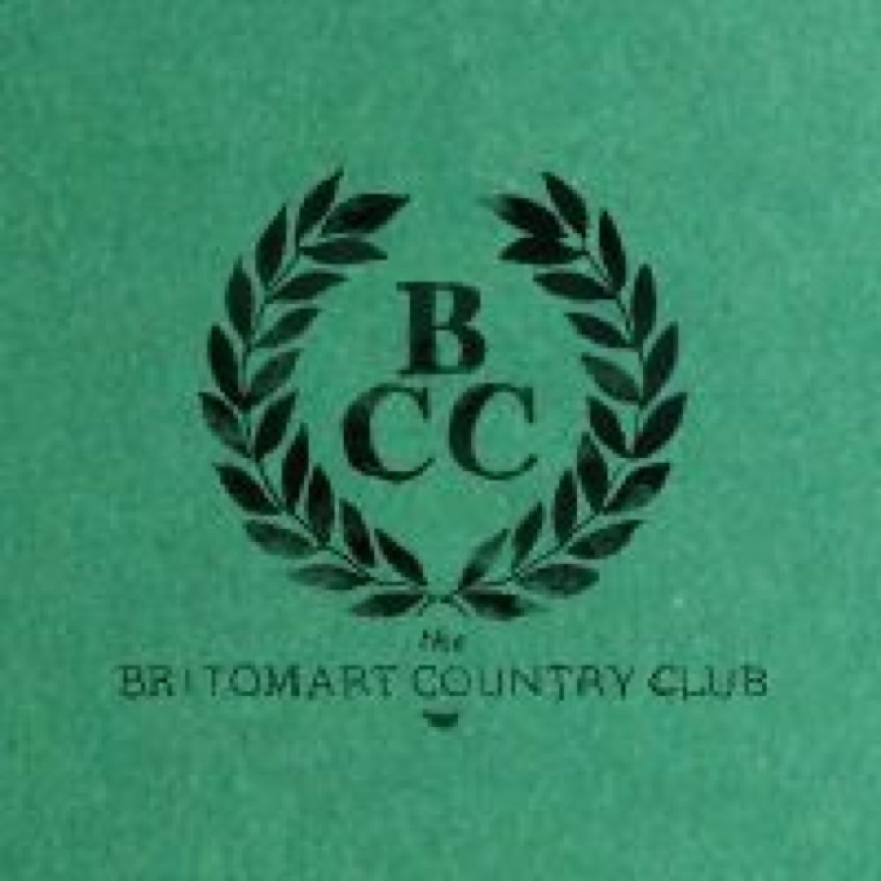 BritomartCC's profile picture. A garden bar in the middle of the concrete city with live bands, DJs, movies on super large screens, events and Heineken on tap..