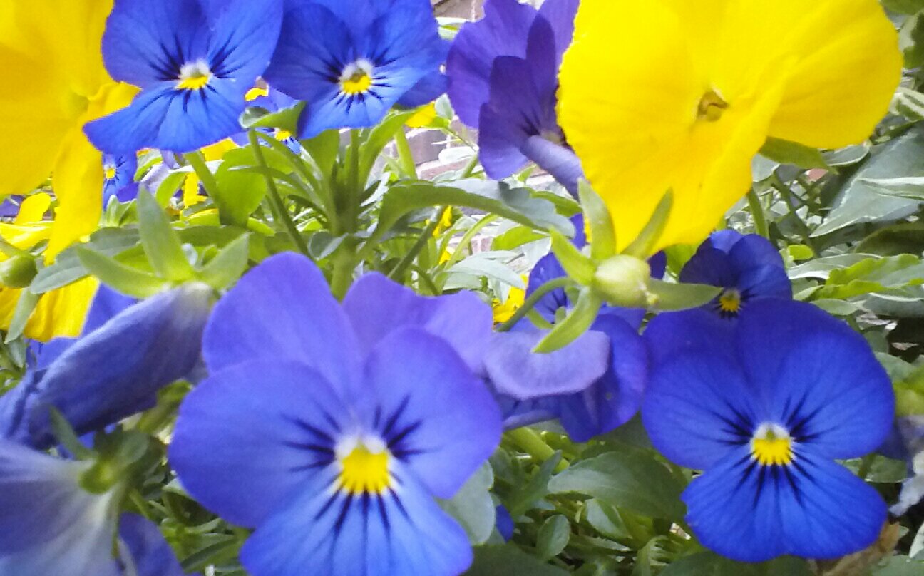 mmcrimmins's profile picture. 