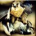 أبو عزام (@aa_nn141) Twitter profile photo أبو عزام (@aa_nn141) Twitter profile photo