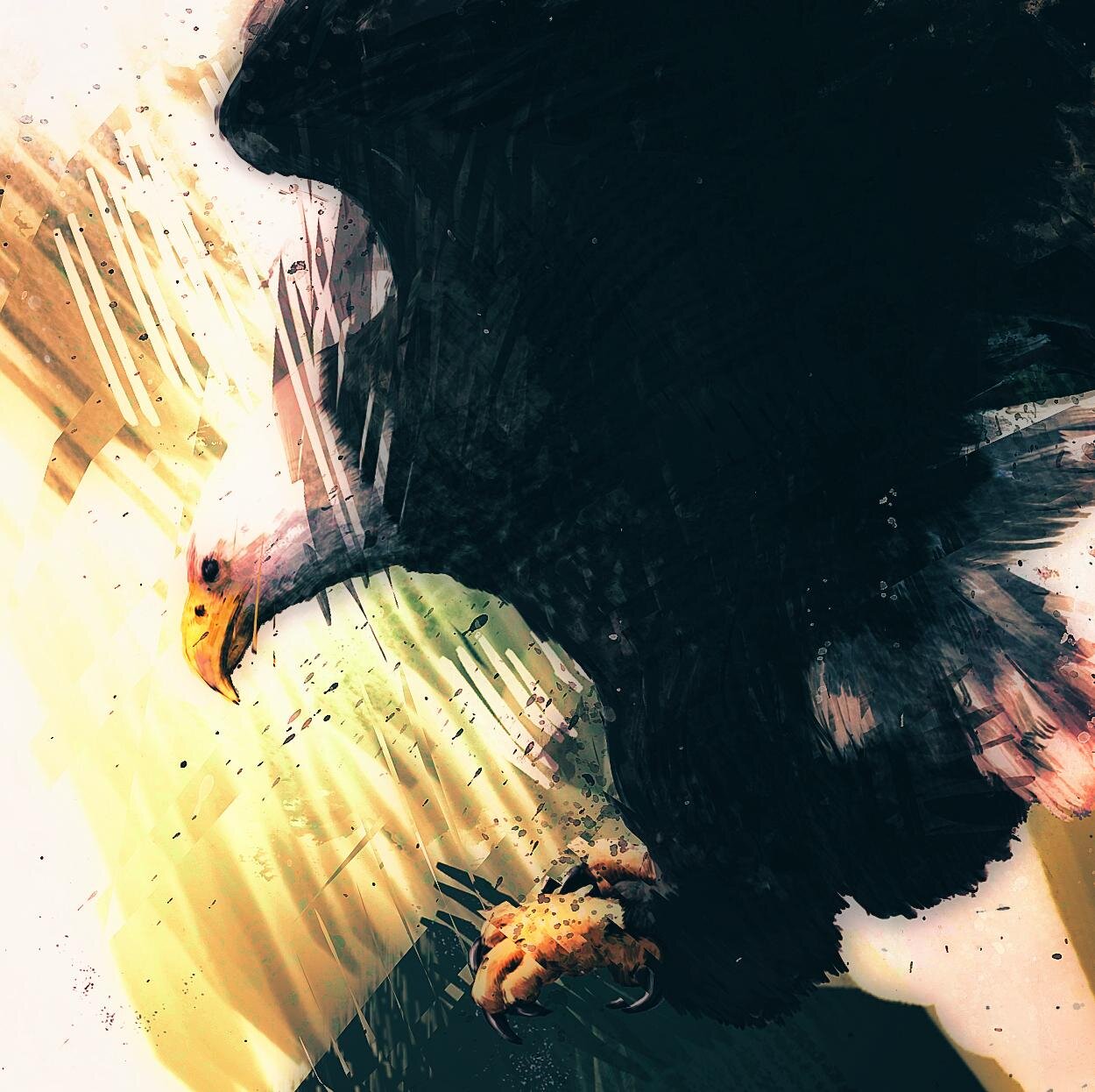 FANOROCK's profile picture. 