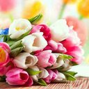 mia castaneda - @MiaTot33 - Twitter