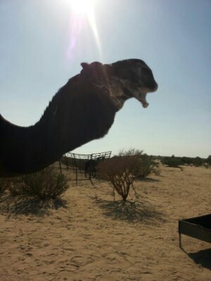 mnbvcxzlkjh571's profile picture. 