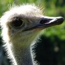 Inna Kim - @InnaKim8 - Twitter