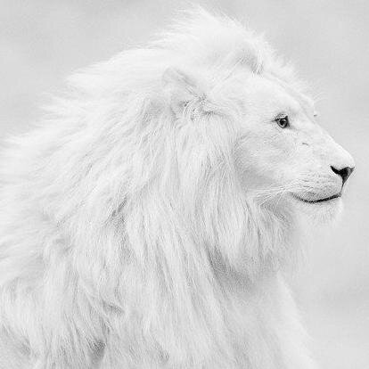 kennethteddy1's profile picture. 