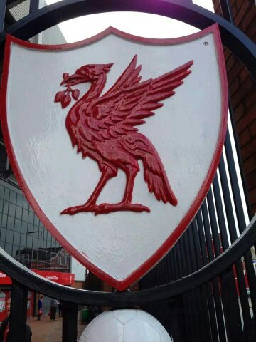 Parent, LFC fan, Catholic