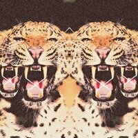 Vecinos En Guerra (@vecinosenguerra) 's Twitter Profile