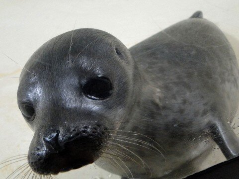 omoshirosugicha's profile picture. どんどん面白いツイートをしていくぜー。期待しといてくれていいぜー。