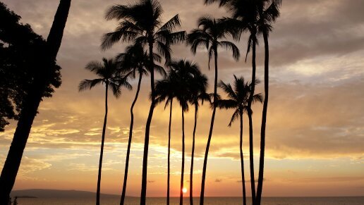 aleong87's profile picture. 