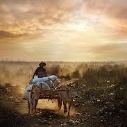 2011Pocker's profile picture. 