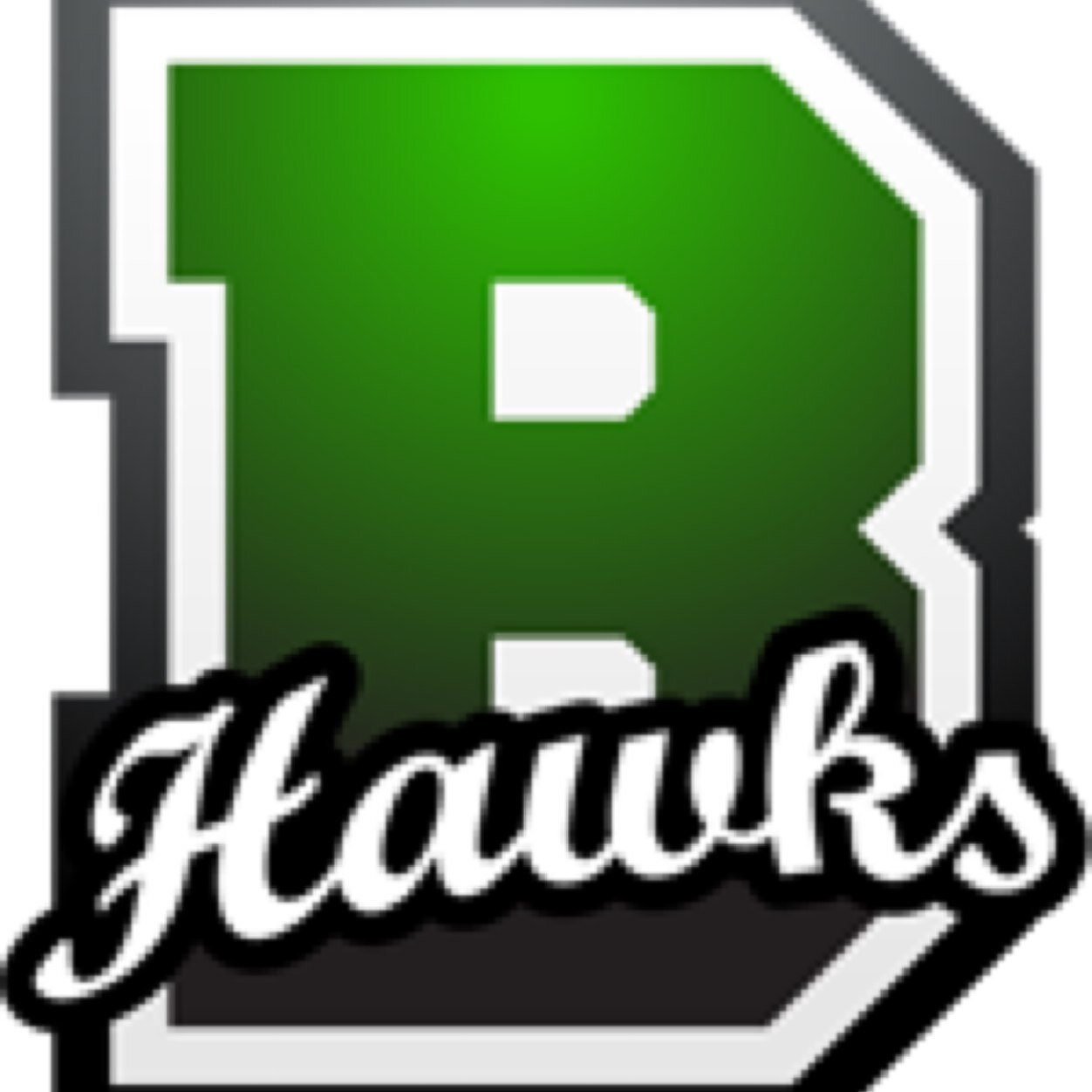 Hawk Nation
