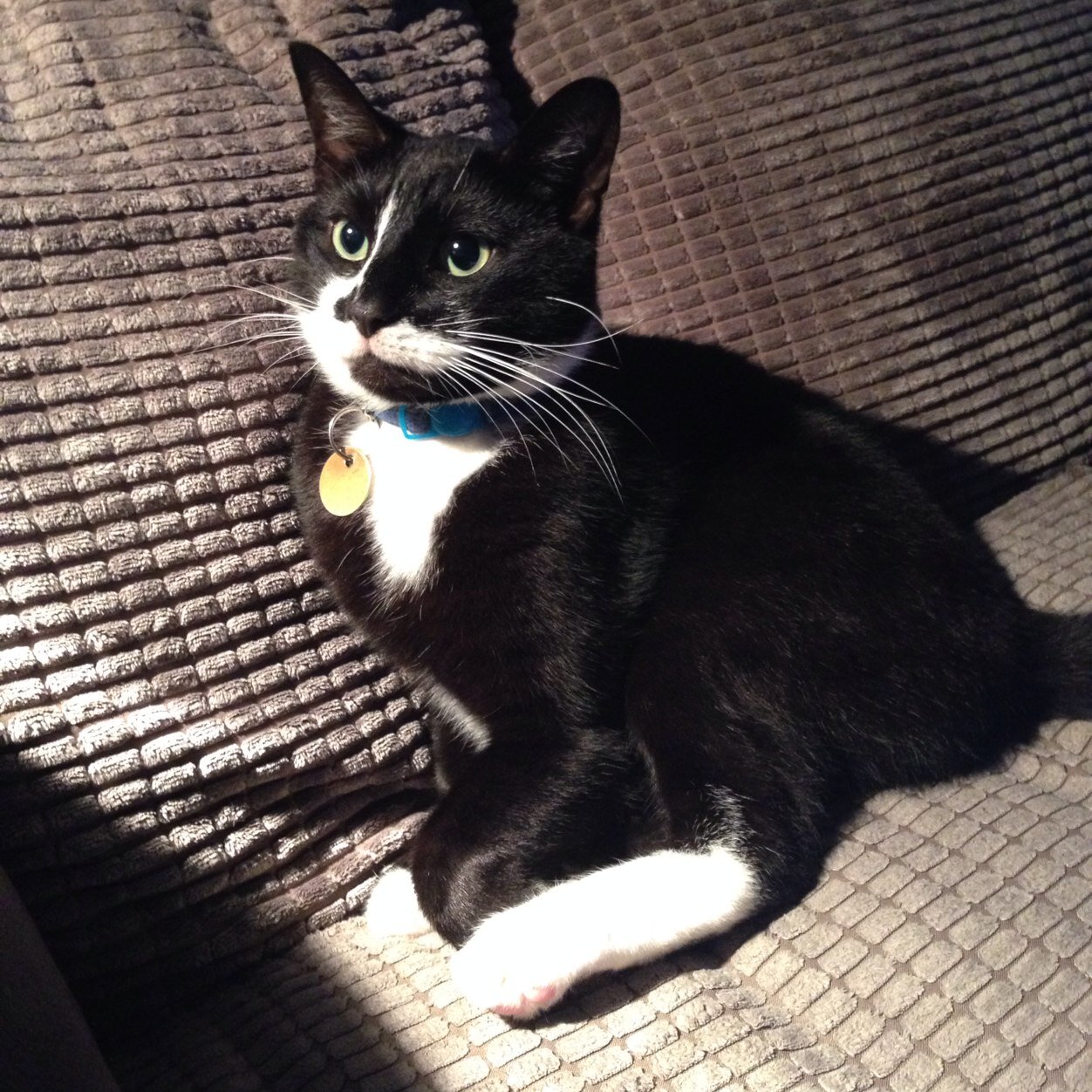 Andyairranger's profile picture. 