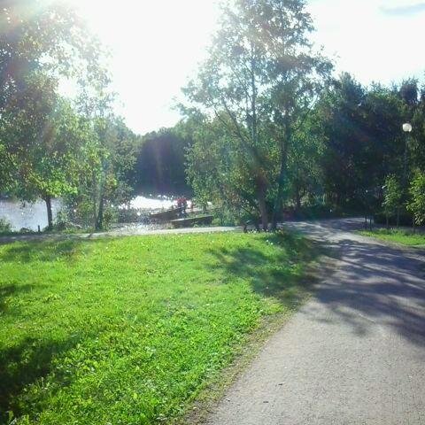 HegeTvedt's profile picture. 