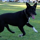 Simon McKenzie - @McKfrenzy - Twitter