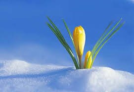 BannHolding's profile picture. 