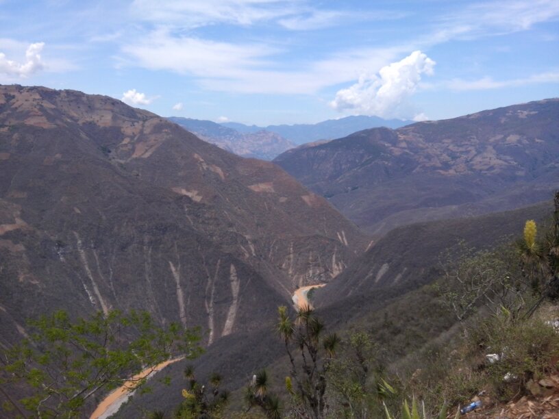 Gli21041981's profile picture. 