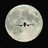 palmieri1952_r's profile image