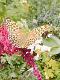 nagano_sora's profile picture. 怒髪天(侍青會会員)、増子直純さん、大野雄二さん・各ライブ編成、スタレビ（FLAPPER会員）、渥美清さん、北島三郎さん、能楽（野村万作家）ザ・ドリフターズ、ルパン三世2nd～、1990後半〜2000年代前半のインディーズヴィジュアル系特に雀羅、babysitter、LUCA好きです。基本フォロー返ししません。