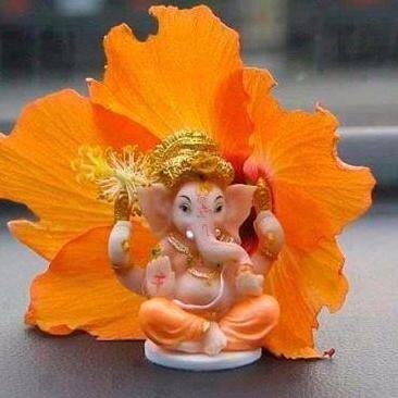 anand1998gupta's profile picture. 