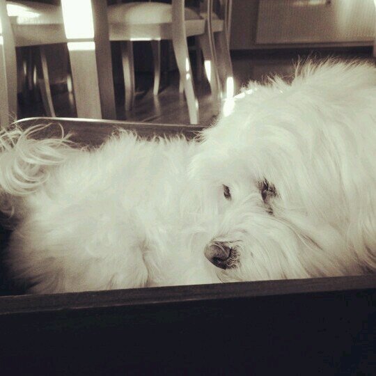 albamc097's profile picture. 