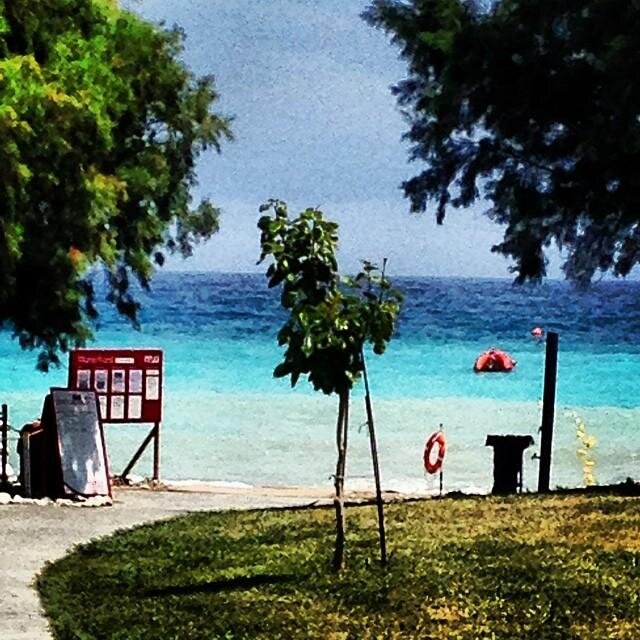 This 5* Mark Warner resort is located on one of the longest sandy beaches on the east coast of Rhodes.