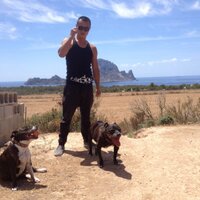Ken Fan (@djkenfan) 's Twitter Profile