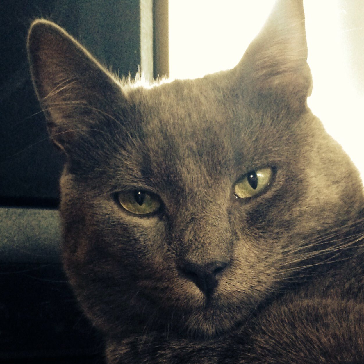 Valdiacho's profile picture. Valdu Valdis. Tu zini manu bumbuli, bet ne manu stāstu. http://t.co/zLYRwmCNY6