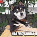 Gaurav singhal - @imgaursinghal - Twitter