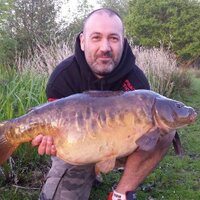 kevin edge (@edgekev) 's Twitter Profile
