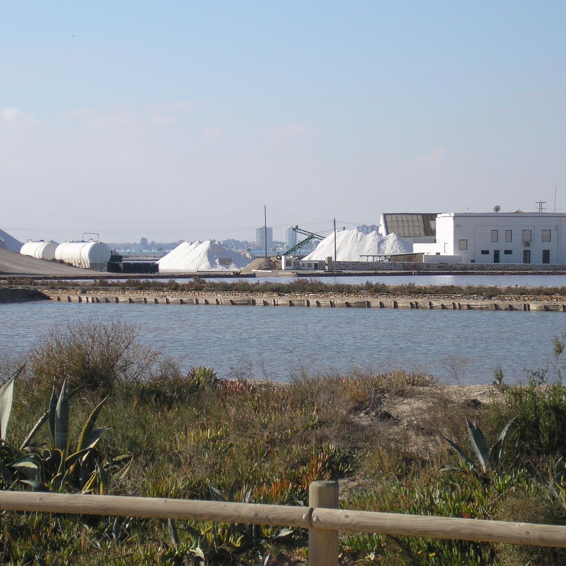 Trabaja en San Pedro del Pinatar, Murcia